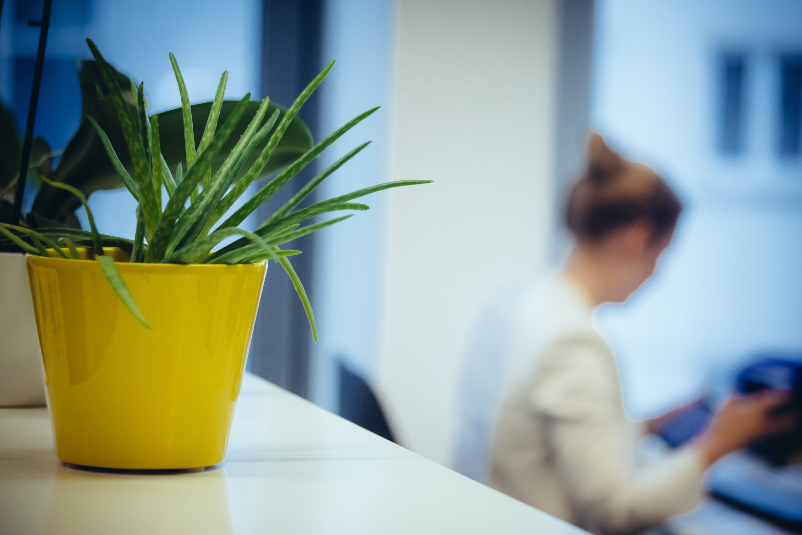 Audit exemption thresholds in Europe - Accountancy Europe