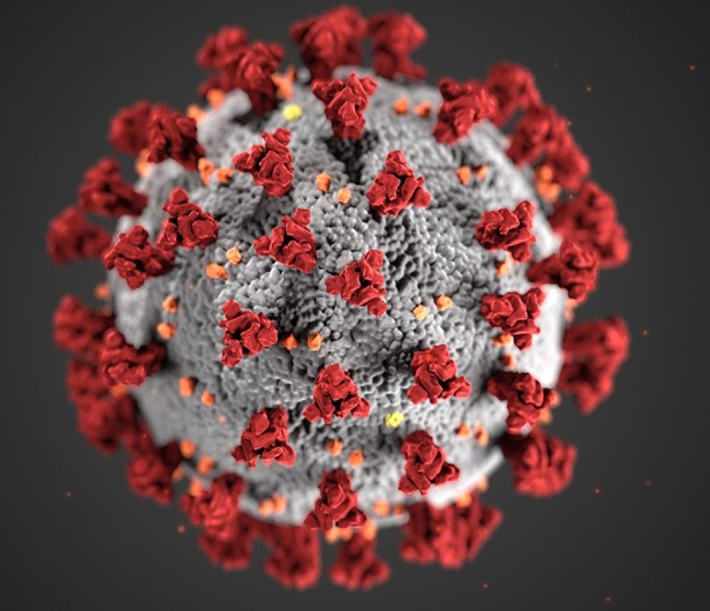 Coronavirus crisis: implications on reporting and auditing