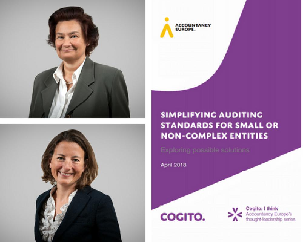 IFAC Gateway – Simplifying Auditing Standards for Small or Non-Complex Entities–Exploring Possible Solutions