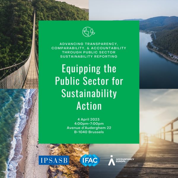 Equipping the public sector for sustainability action
