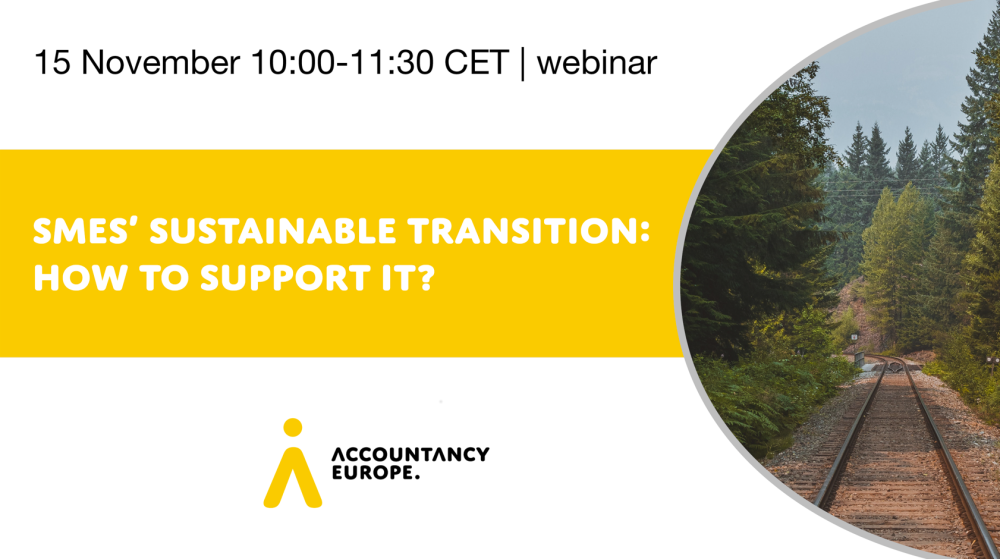 SMEs’ sustainable transition: how to support it?