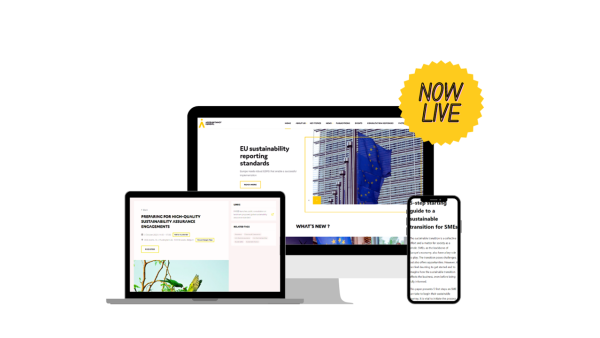 Accountancy Europe launches new website