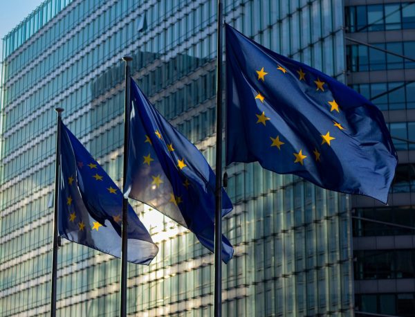 Views on upcoming sustainability assurance guidelines and standards